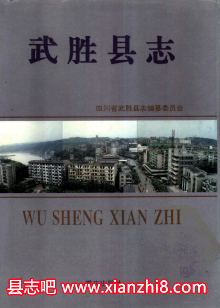 武胜文史资料：武胜县志年鉴地名录等地方资料目录PDF电子版-书查询-第3张图片