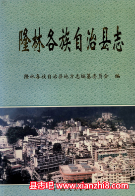 隆林各族自治县文史志：隆林各族自治县志民族志概况调查报告等地方资料目录PDF电子版-书查询-第3张图片