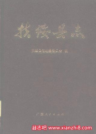 扶绥文史资料：扶绥县志等地方志文史等地方资料目录PDF电子版-县志馆-第3张图片