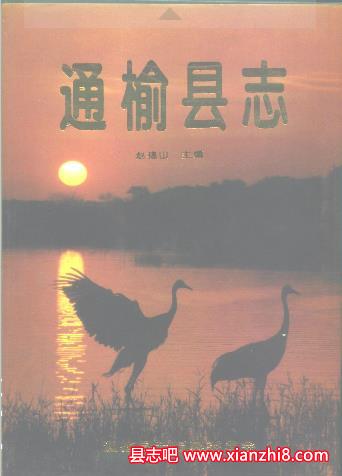 通榆文史资料：通榆县志通榆县文物志等地方志地情地方资料目录PDF电子版-县志馆-第3张图片