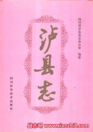 泸县志：泸县文史资料文化体育新闻出版广电志经济和商务志抗洪救灾志地名录资料PDF电子版-县志馆-第3张图片