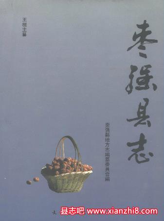 枣强县志：枣强文史资料邮电志敬义书院志古漳河官堤志大事记资料PDF电子版-县志馆-第3张图片