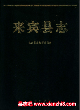 来宾县志：来宾文史资料金融志邮电志乡镇简志教育志电力志建设志文化志等地情资料PDF电子版-县志馆-第3张图片