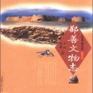 鄯善文物志 2008版 PDF电子版