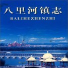 颍上县八里河镇志 2003版 PDF电子版