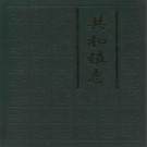 鹤山市共和镇志 2008版 PDF电子版