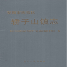 安顺市西秀区轿子山镇志 2004   PDF电子版