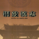 铜鼓镇志2010    PDF电子版