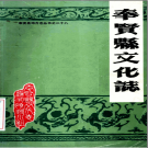 奉贤县文化志 PDF电子版