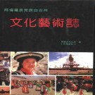 阿坝藏族羌族自治州文化艺术志.pdf下载