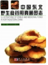 中国东北野生食药用真菌图志       PDF电子版下载