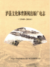 泸县文化体育新闻出版广电志 1949-2014       2016年版          PDF电子版下载