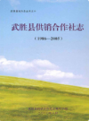 武胜县供销合作社志(1986-2005)        2010年版           PDF电子版下载