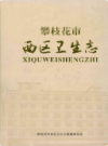 攀枝花市西区卫生志           2011年版            PDF电子版下载