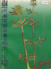 河南农田杂草志_1991版_PDF电子版下载