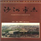 河北省沙河市志 1994版.pdf下载