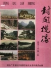 封开揽胜 封开文史》 第10辑（广东省封开县地方史志）_1996版_PDF电子版下载
