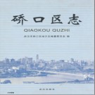 湖北省武汉市硚口区志 2007版.pdf下载