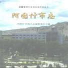 新疆  阿图什市志.pdf下载