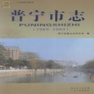 广东省普宁市志 1989-2004.pdf下载