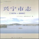 广东省兴宁市志1979-2000.pdf下载