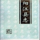 广东省阳江县志.pdf下载