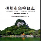 广西柳州市鱼峰区志 1991-2005.pdf下载