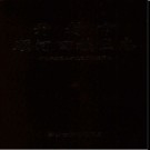 河南省开封市顺河回族区志.pdf下载