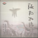 河南省汝阳县志1989-2000.pdf下载
