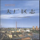 江苏省南京市大厂区志.pdf下载