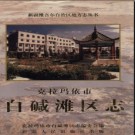 新疆 克拉玛依市白碱滩区志.pdf下载