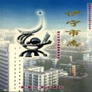 新疆 伊宁市志.pdf下载