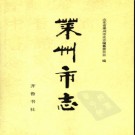 山东省莱州市志.pdf下载