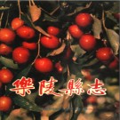 山东省乐陵县志.pdf下载