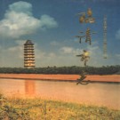 山东省临清市志_1997版.pdf电子版下载