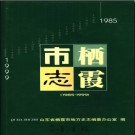 山东省栖霞市志1985-1999.pdf下载