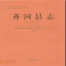 山东省齐河县志1986-2008上册.pdf下载