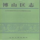 山东省淄博市博山区志.pdf下载