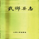 山西省武乡县志.pdf下载