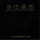 四川省合江县志.pdf下载
