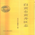 四川省自贡市贡井区志.pdf下载