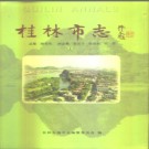 广西桂林市志1997版.pdf下载