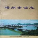 广西梧州市简志.pdf下载