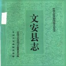 河北省文安县志.pdf下载