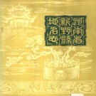 河南省新野县地名志 1990版.pdf下载